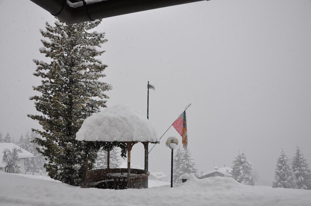 Hotel Roma San Vito di Cadore Exteriér fotografie